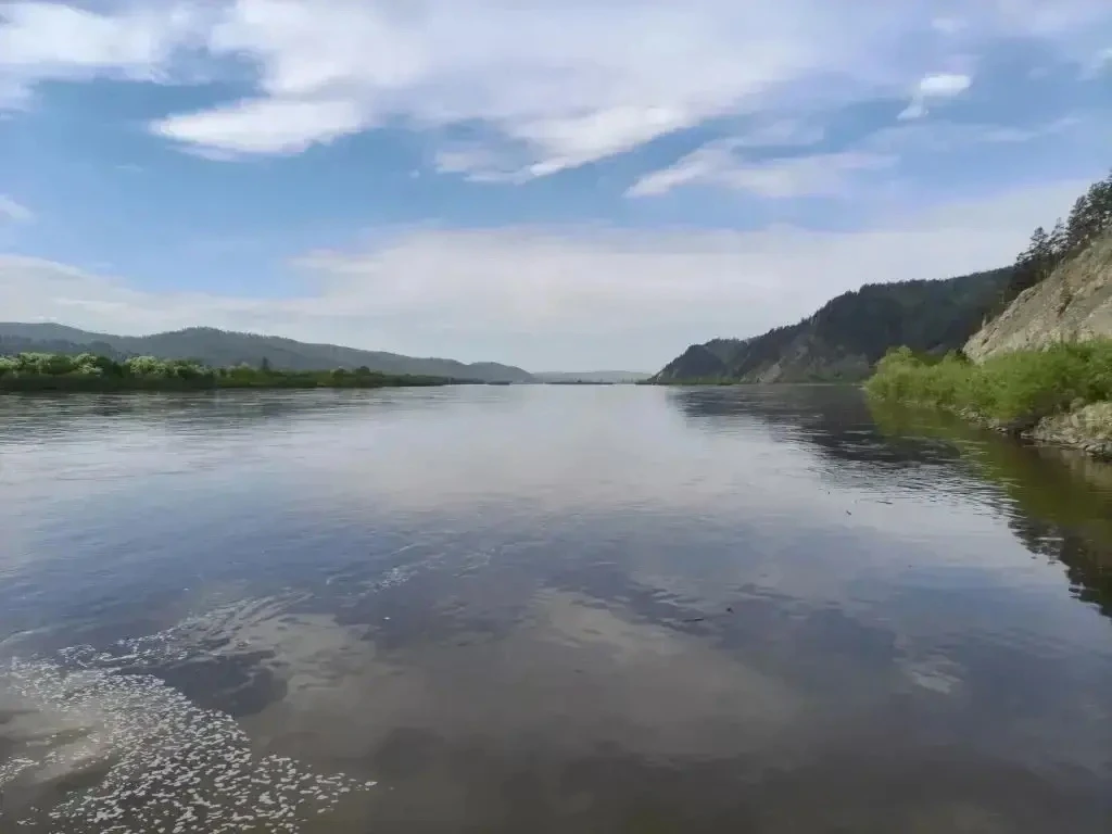 🐟 Ихтиологи Главрыбвода из Перми и Бурятии провели нерест дикой самки байкальского осе...