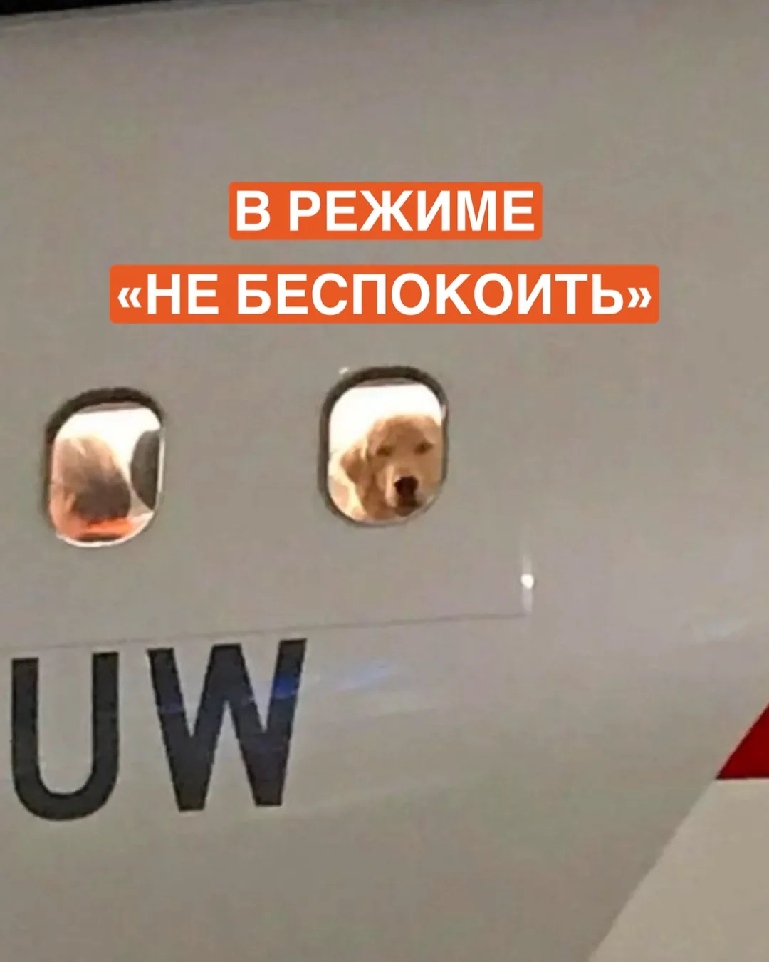 🎒✈️Чемодан еще не собран, а аватарка для отпуска уже готова! 

Позаботились о вашем отдыхе заранее 