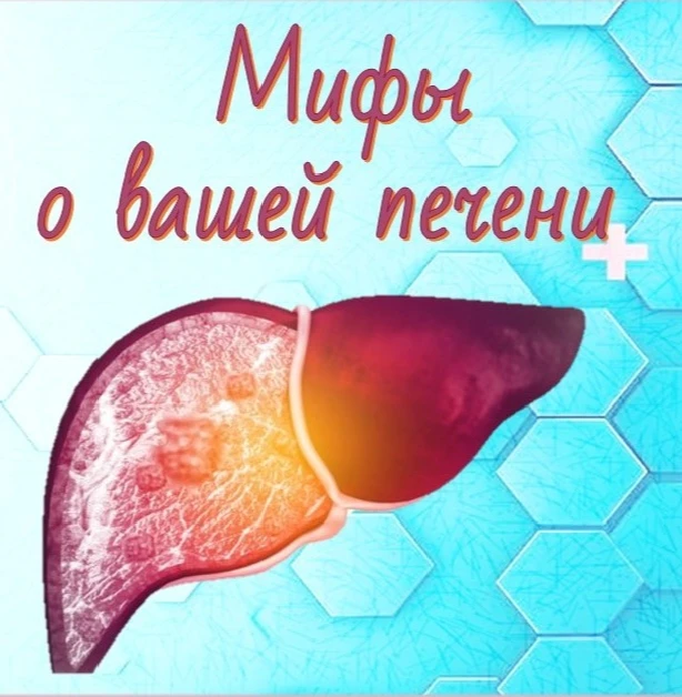 Мифы и правда о печени.
С печенью действительно связано много мифов — некоторые из них не просто вво