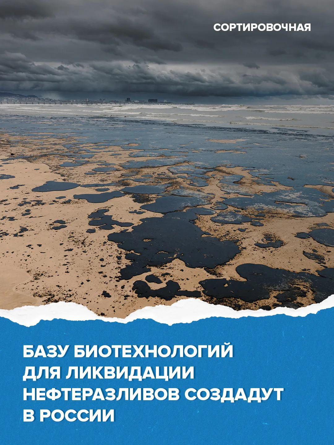 Российские учёные приступили к