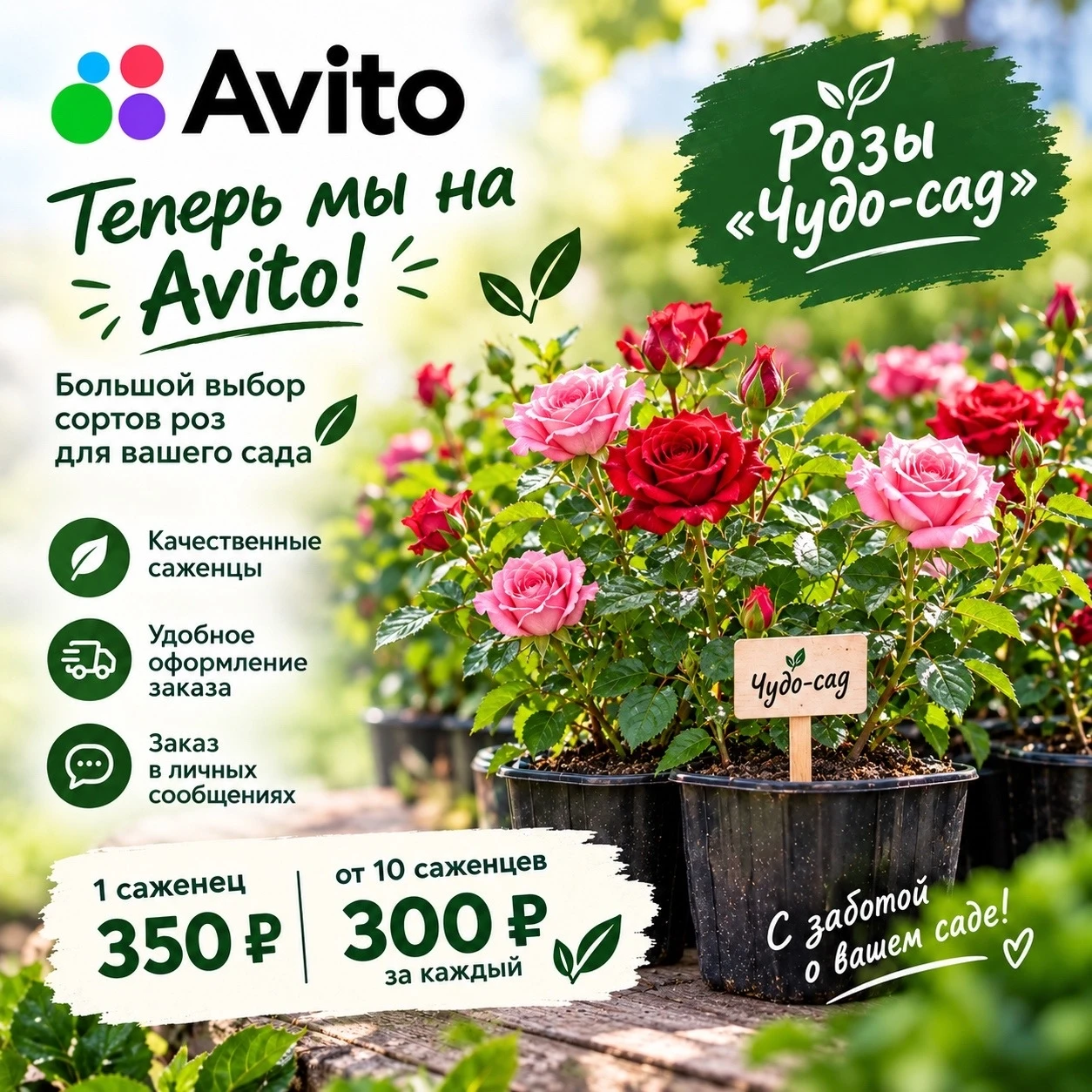 🌿 Рады сообщить хорошую новость!