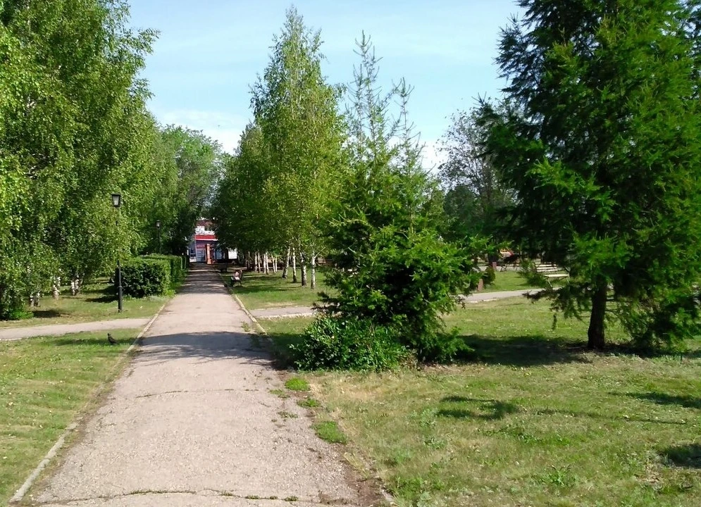 Присылайте Ваши фото в "Предложить пост"