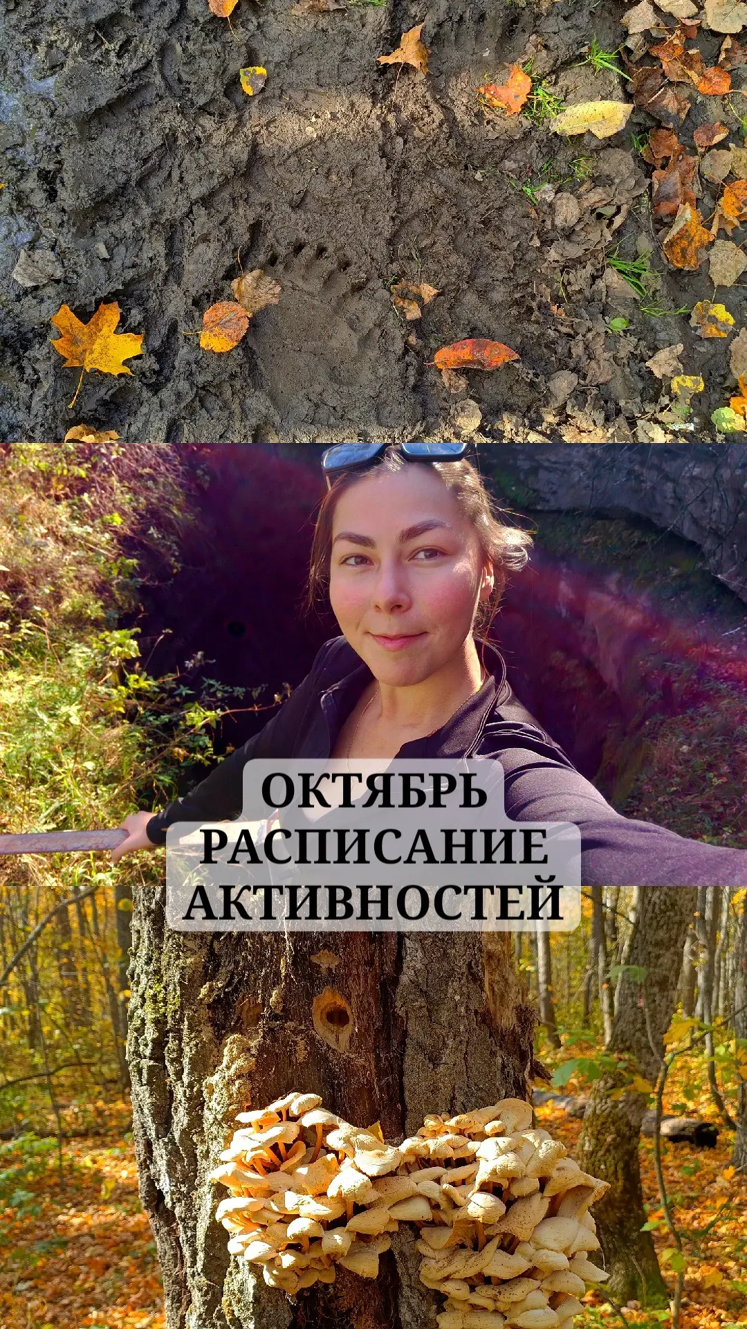 РОМАНТИЧНЫЙ ОКТЯБРЬ