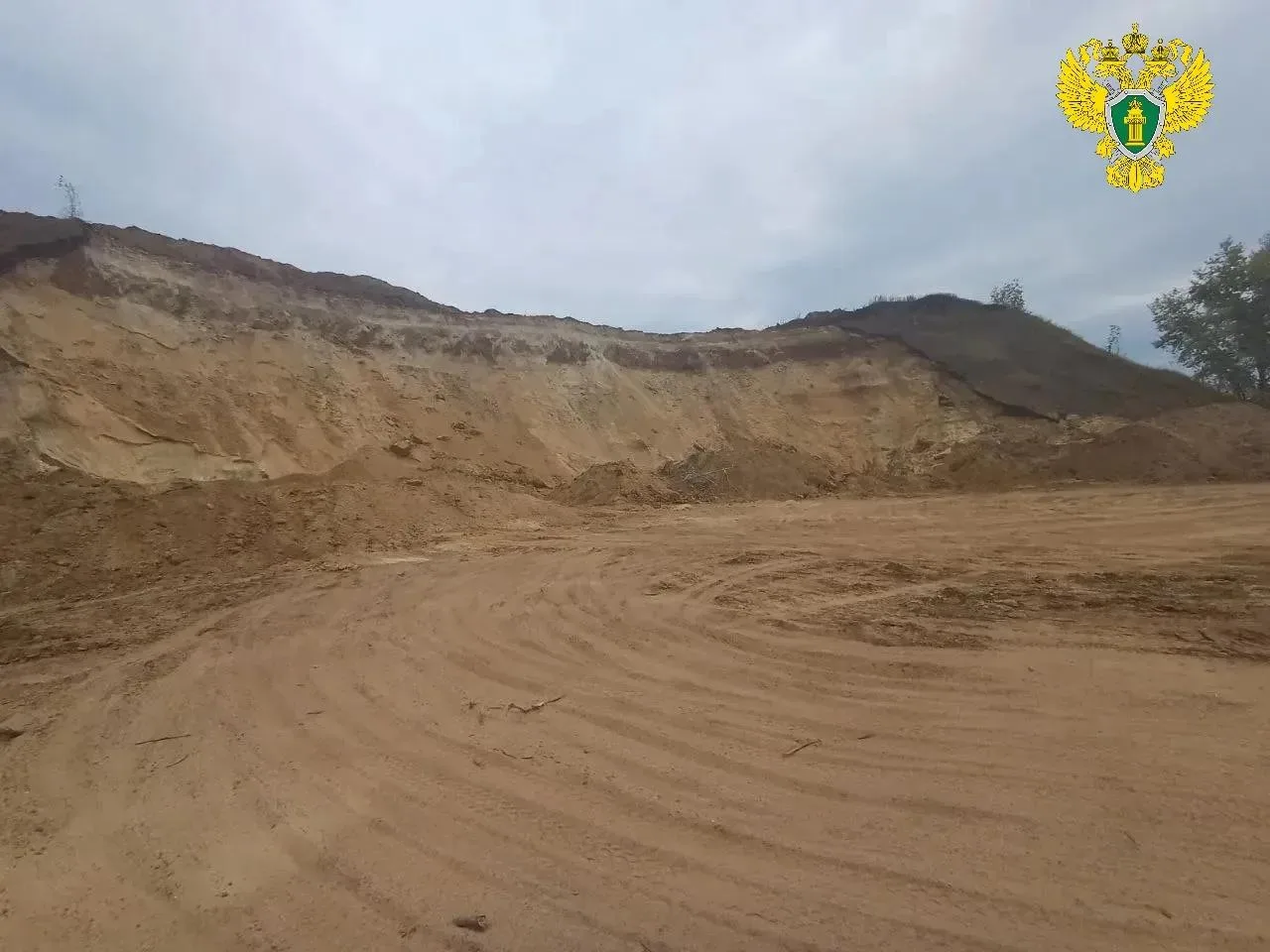 В Колышлейском районе прокуратура направила в суд уголовное дело о незаконной добыче пе...