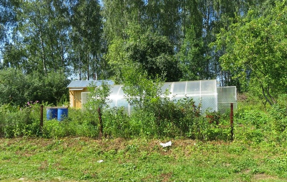 Пенсионеры и предпенсионеры освобождены законом от уплаты земельного налога на один участок площадью