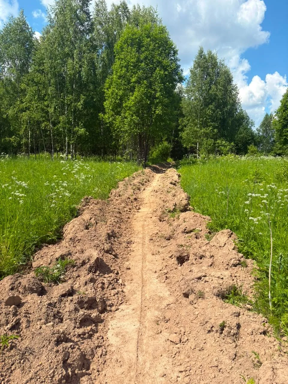 В Судиславском лесничестве активно приступили к противопожарному обустройству лесов
                