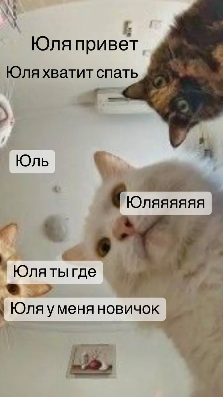 Когда в воскресенье решила сделать себе выходной.