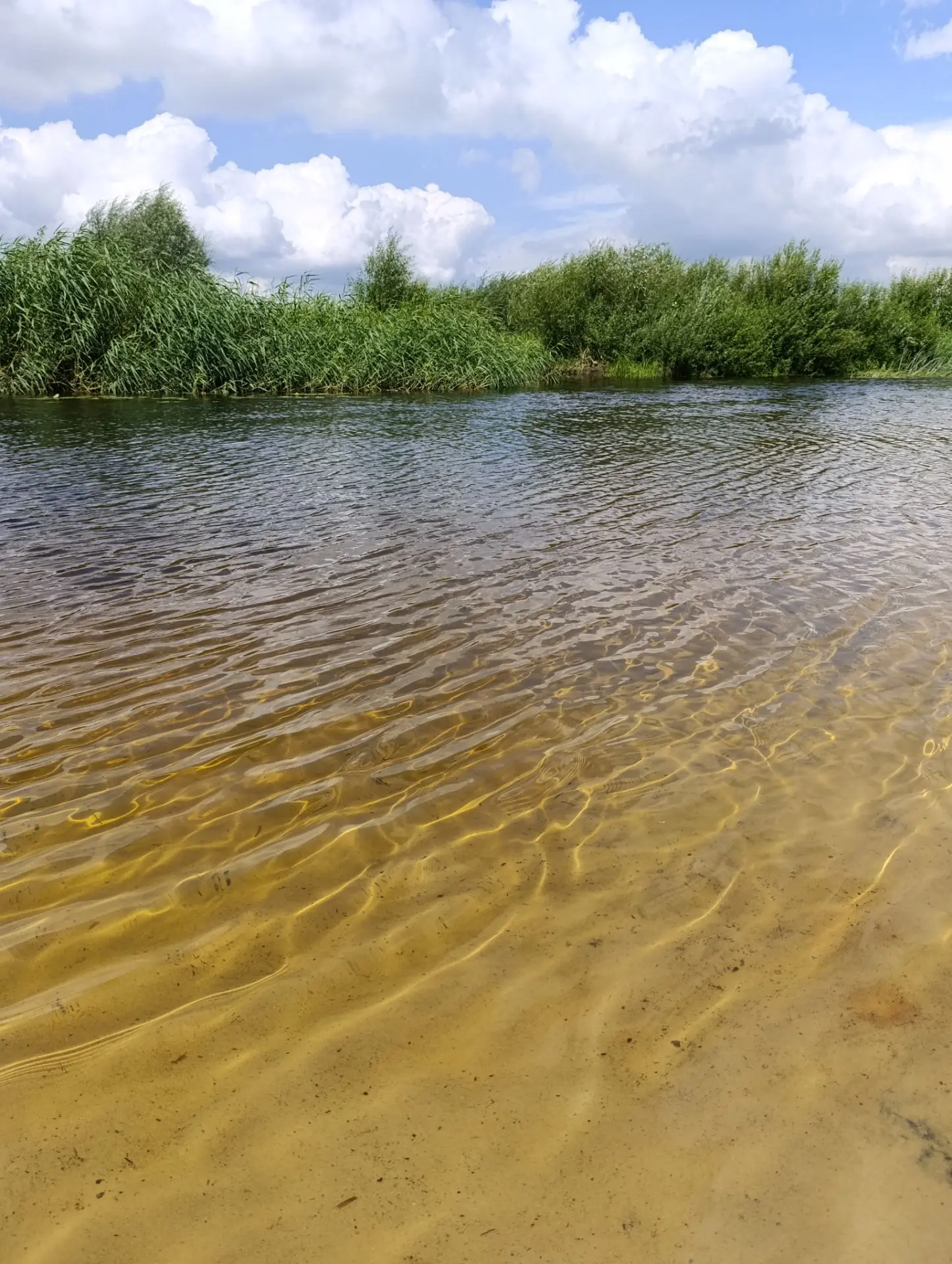 Отдыхали на речке вода чистая теплая. И рыбаки мои порыбачили с удовольствием.