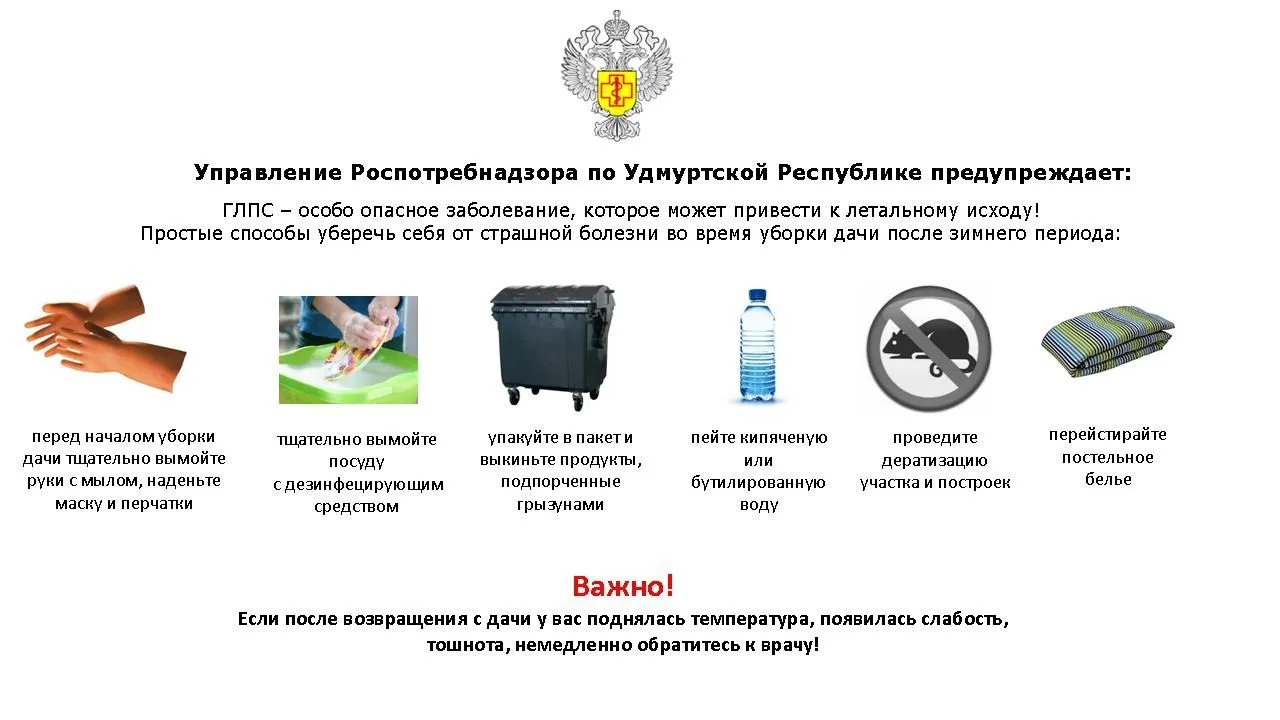 ❗️❗️Памятка для населения!
"Профилактика геморрагической лихорадки с почечным синдромом (ГЛПС)"❗️❗️
