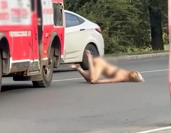 Полуголая девушка под колесами автобуса: полиция Оренбурга проводит проверку по видео с...