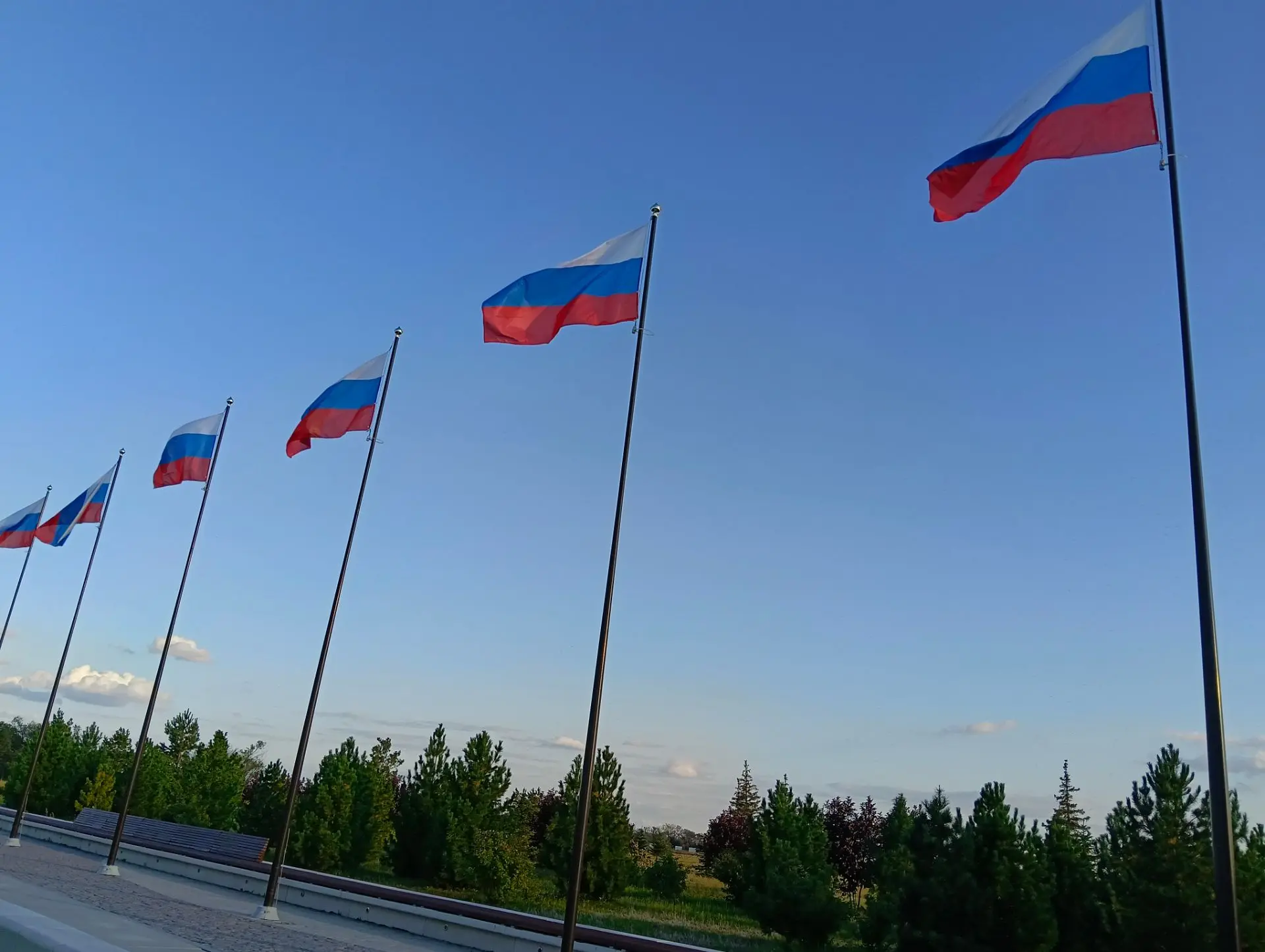 ✨🎉 Участвуем во Всероссийской акции «Белый,синий, красный — самый красивый!»🎉✨