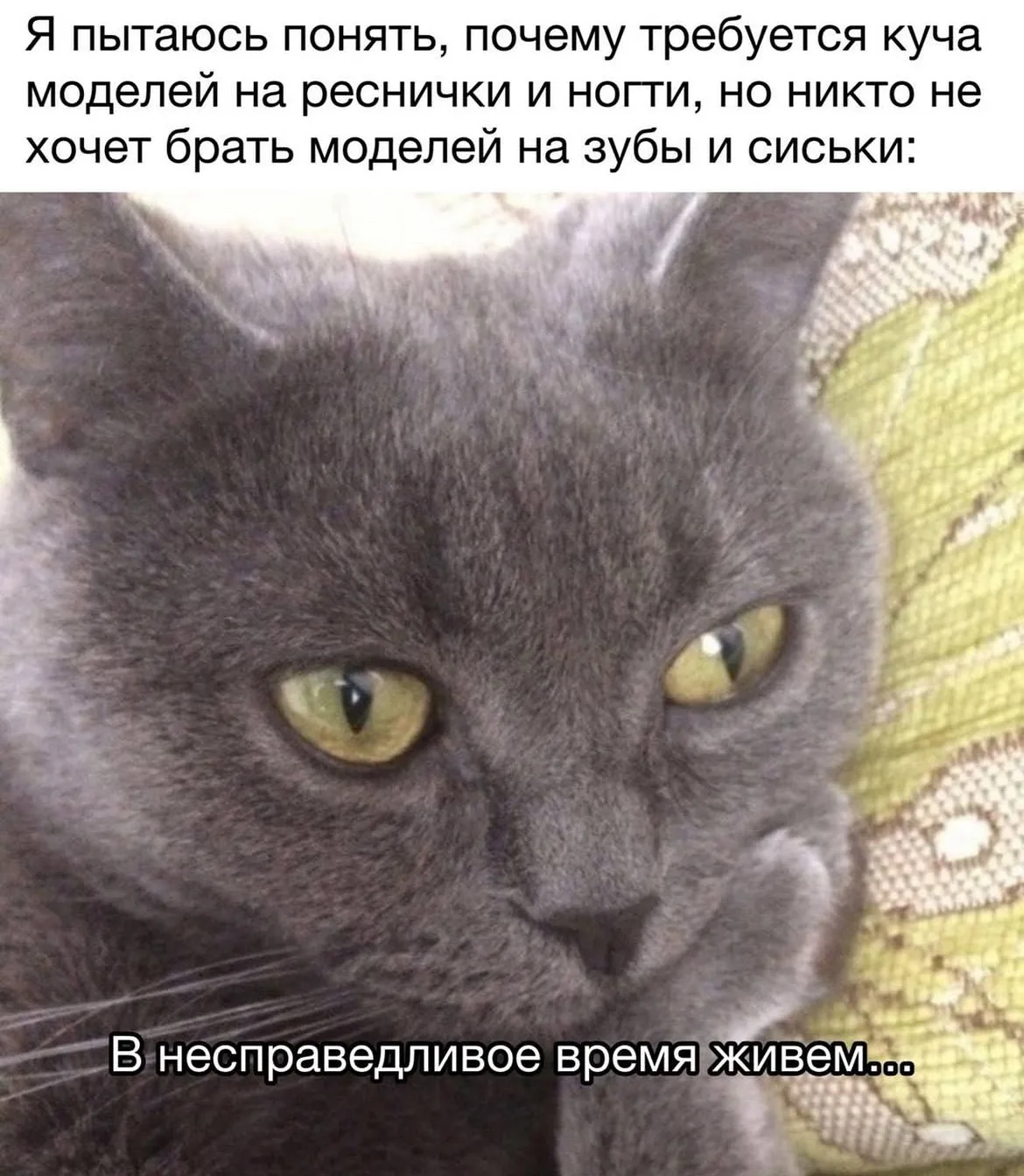 Дурилка картонная