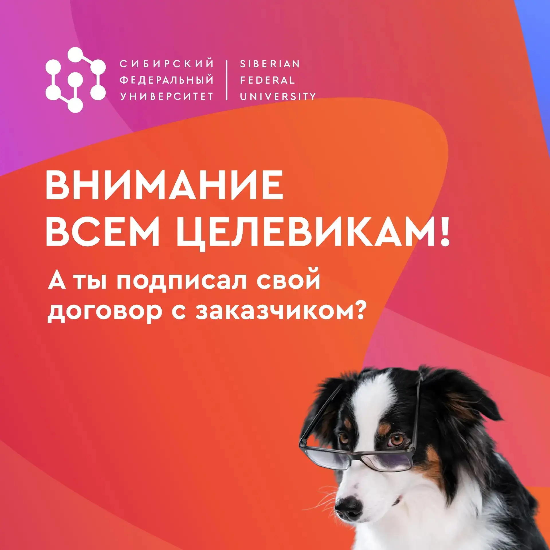 Первокурсник-целевик, этот пост для тебя 😉