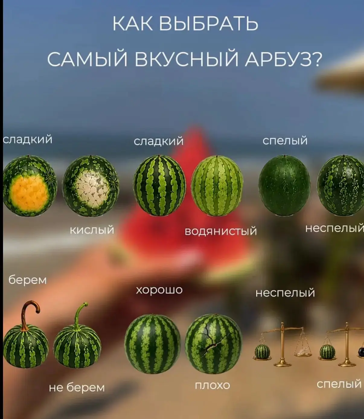 Август! 🍉 Самое время наслаждаться сочными, спелыми и сладкими арбузами!