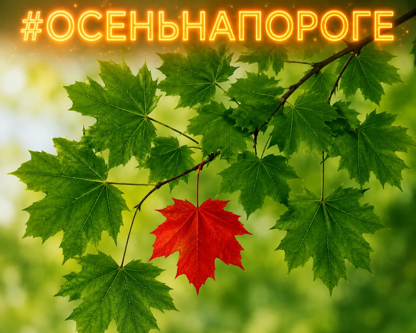 в новую неделю — с новым флешмобом