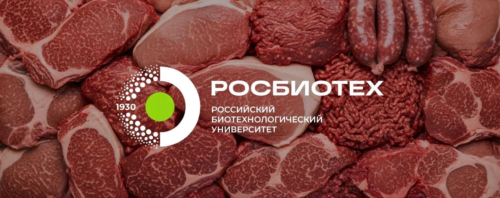 Мясо под микроскопом: как биотехнология меняет взгляд на привычный продукт 🥩🔬  В рамках цикла вебина