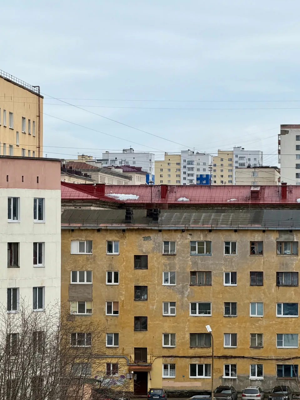 Фото — Ирина Кудрявцева.
