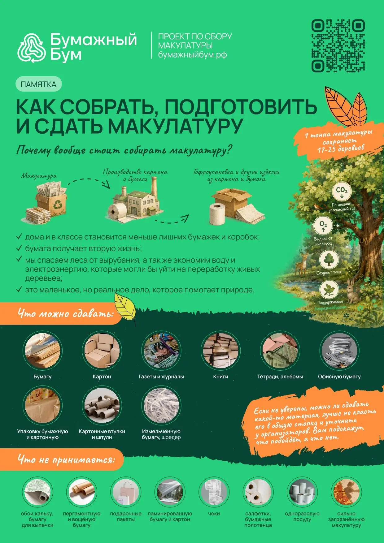 Дорогие друзья!