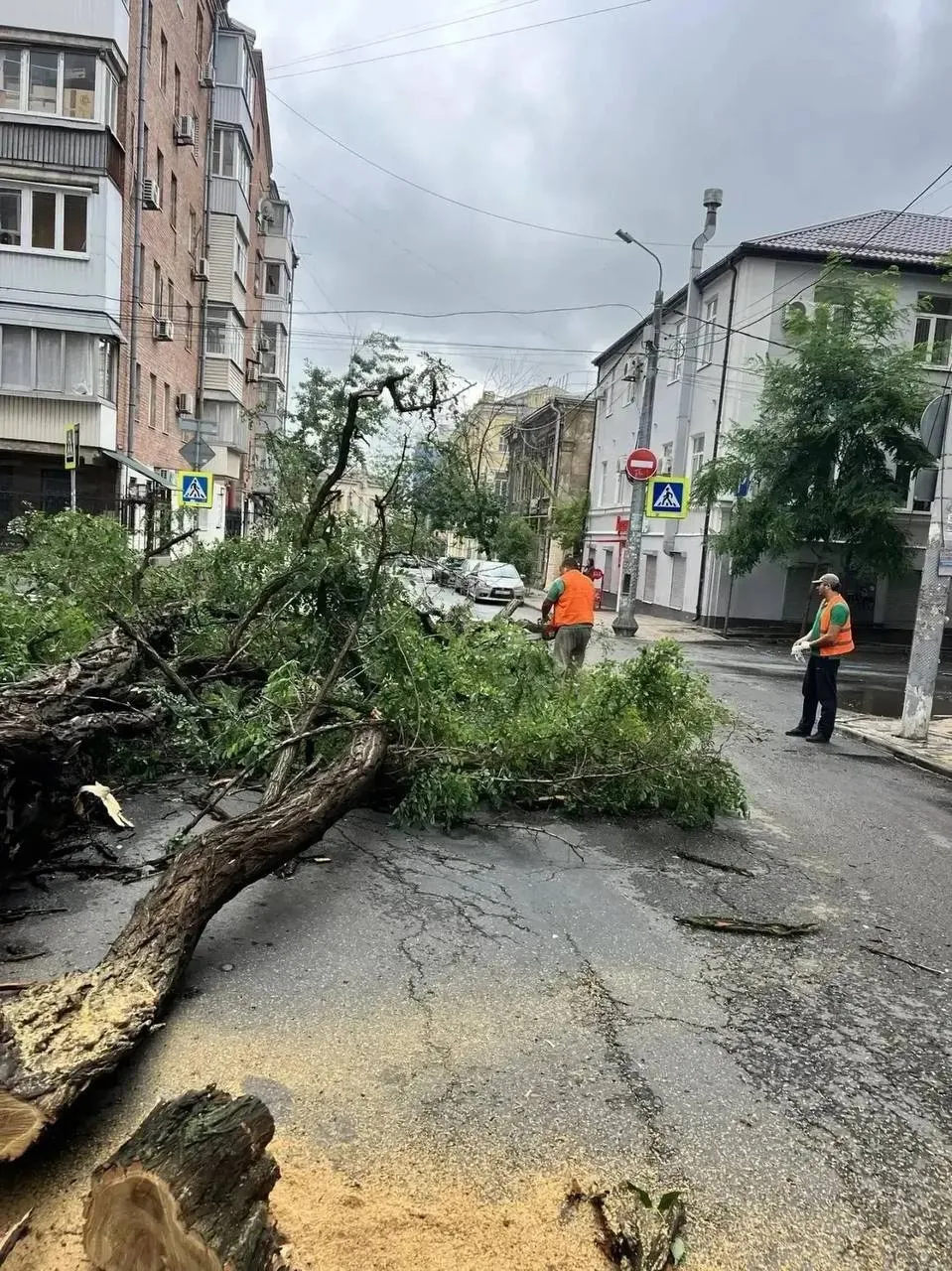 Кубанские энергетики помогают Ростовской области после шторма

Более 50 человек пострадали во время 