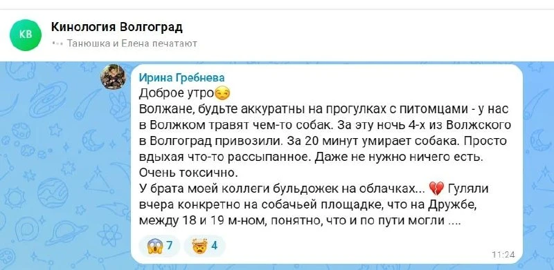 ☄️ В местных кинологических пабликах снова бьют тревогу. Люди пишут, что в Волжском в о...