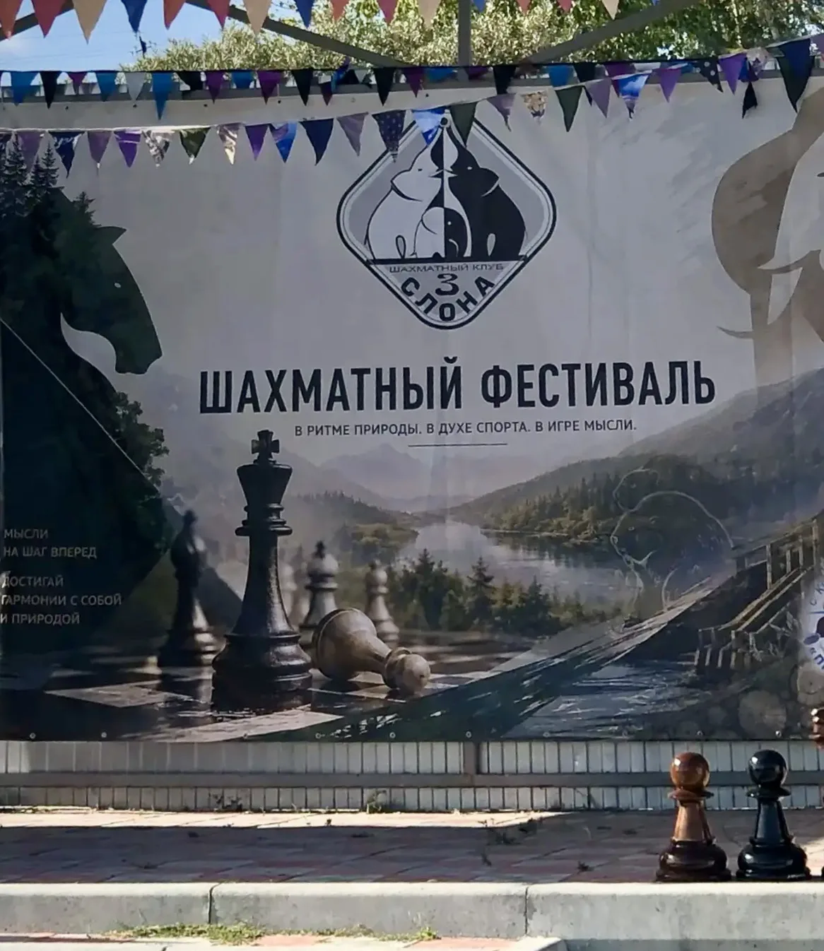 В эти выходные в Тогучинском районе прошёл VIII открытый шахматный турнир, посвящённый ...