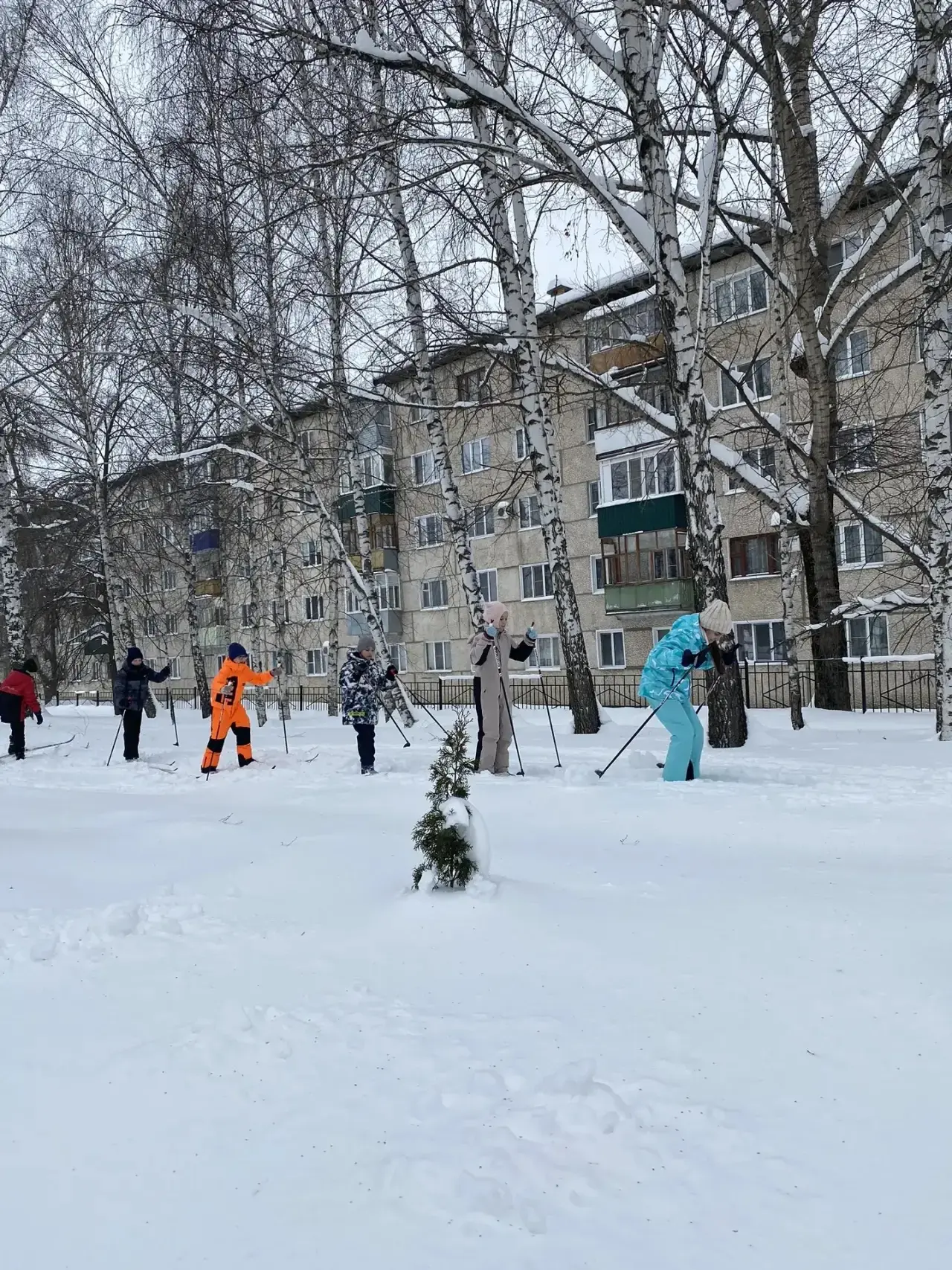 🎿 Лыжня зовёт! Как наши гимназисты покоряли зимние трассы ❄️  Свежий морозный воздух, солнце, пробив