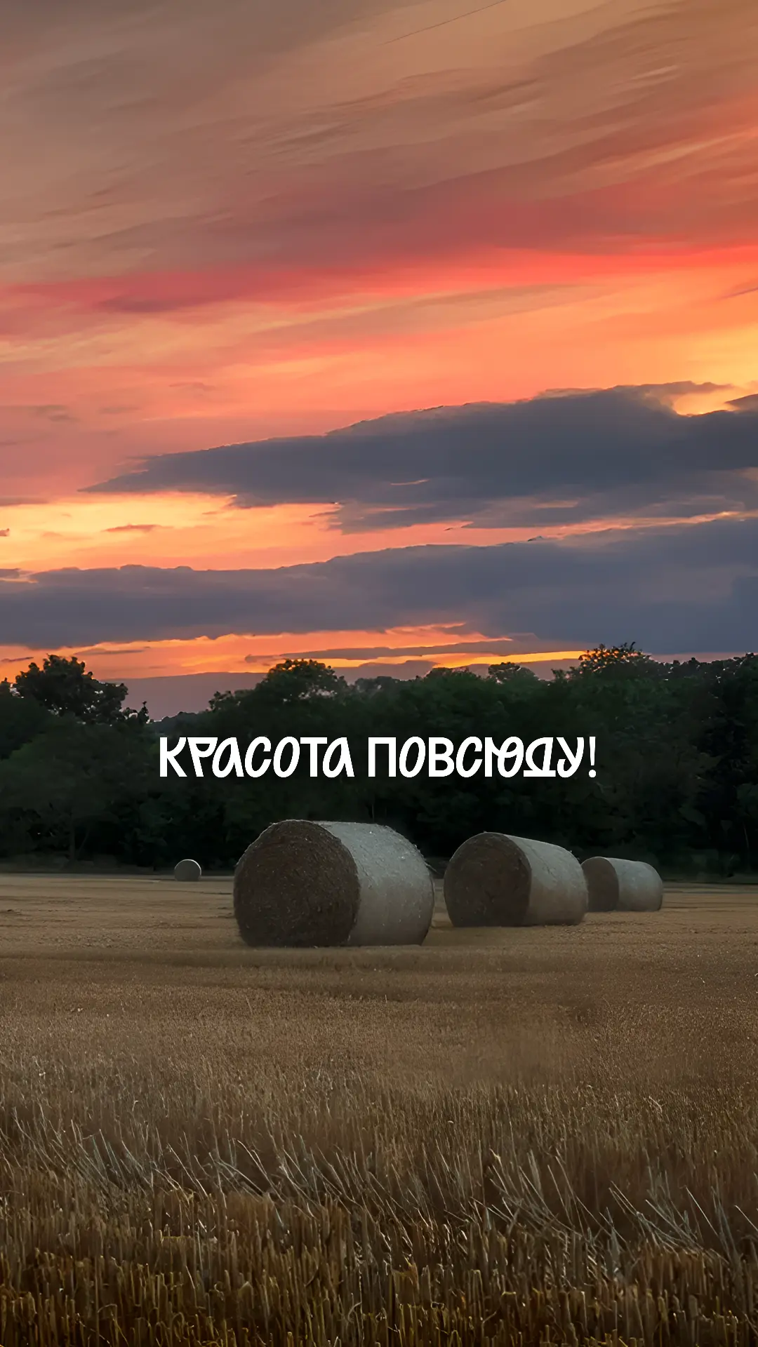 💛Новый месяц — новая подборка заставок для твоего устройства!