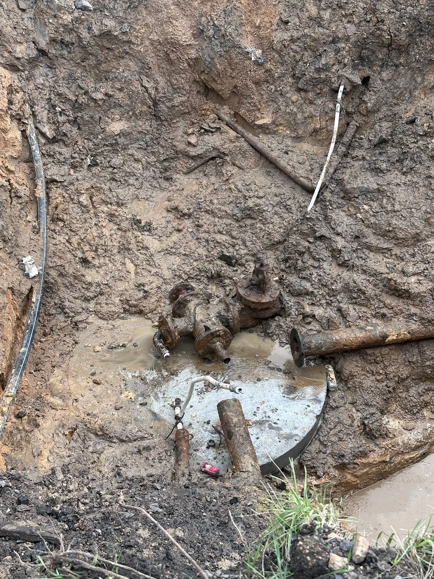 Фото