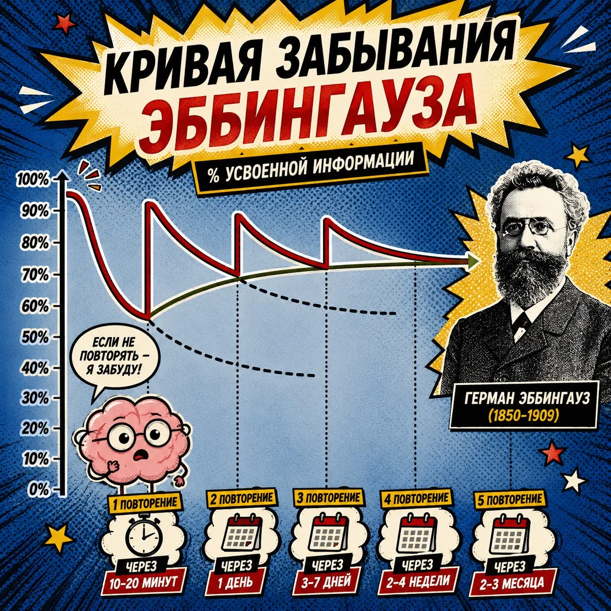 Почему мы забываем уже через 20 минут?