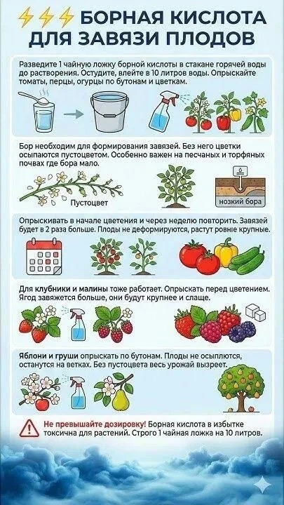 В копилочку шпаргалок ✅

🌱 Дача Сад Огород подписаться