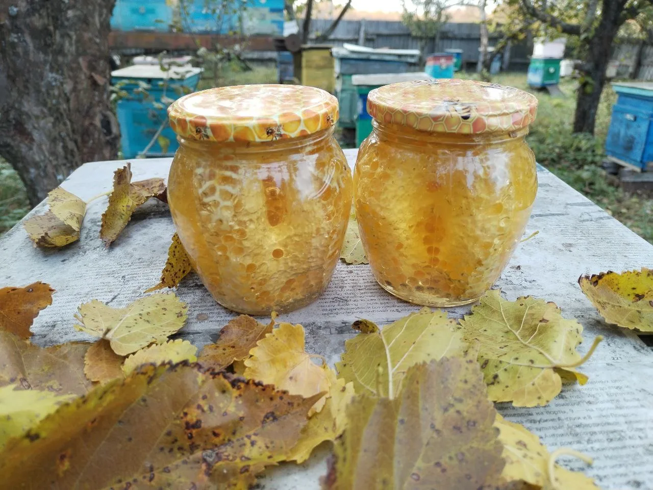 Возникли вопросы про эти баночки. Не все в курсе. Поясню. Мы поставили маленький кусоче...
