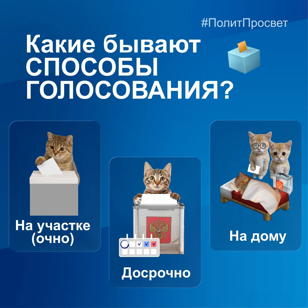 Как можно проголосовать на выборах?
