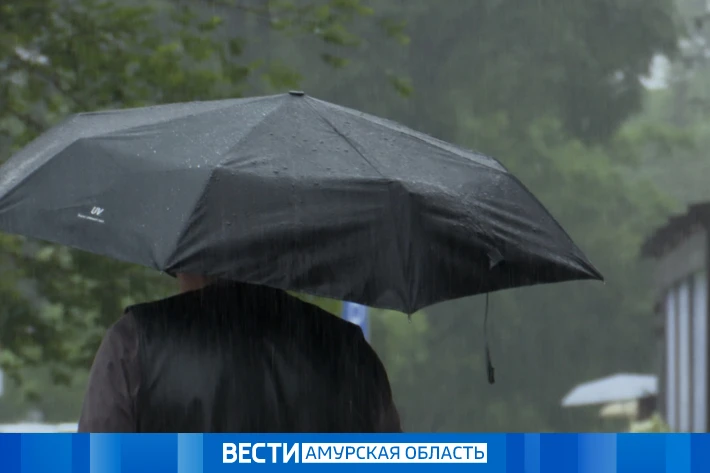 Штормовое предупреждение: Приамурье готовится к сильным ливням и грозам

На 31 июля и 1 августа в Ам