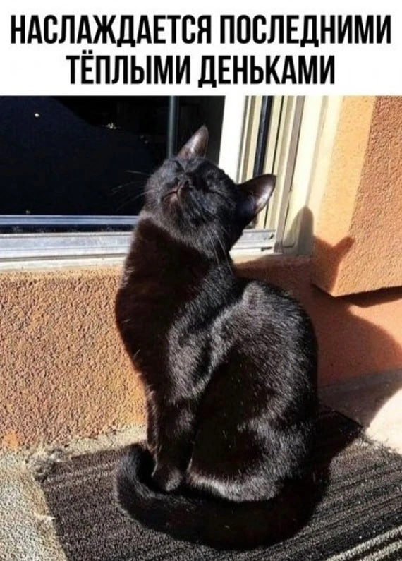 😎Температурные качели ждут Кузбасс в ближайшие сутки
