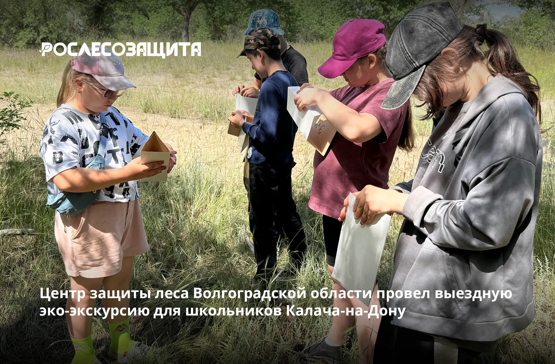 💚 Специалисты филиала Рослесозащиты организовали познавательную выездную экскурсию в Калачевское ле