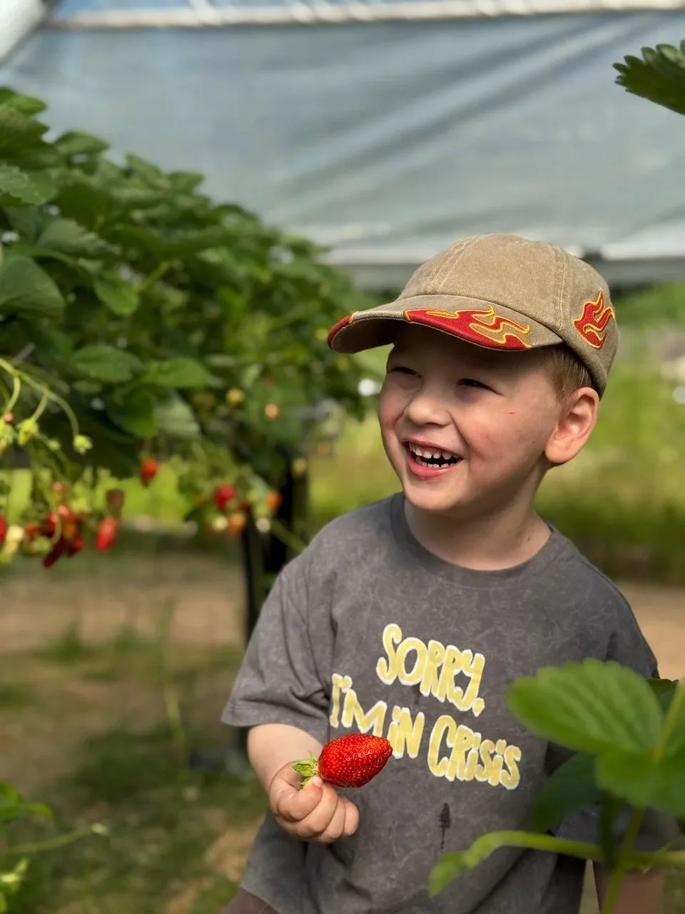 Едим клубнику без ограничений 🍓

🗓️ по записи 
📍 Ленинградская область, Рощинское г. п. 

💵 1500