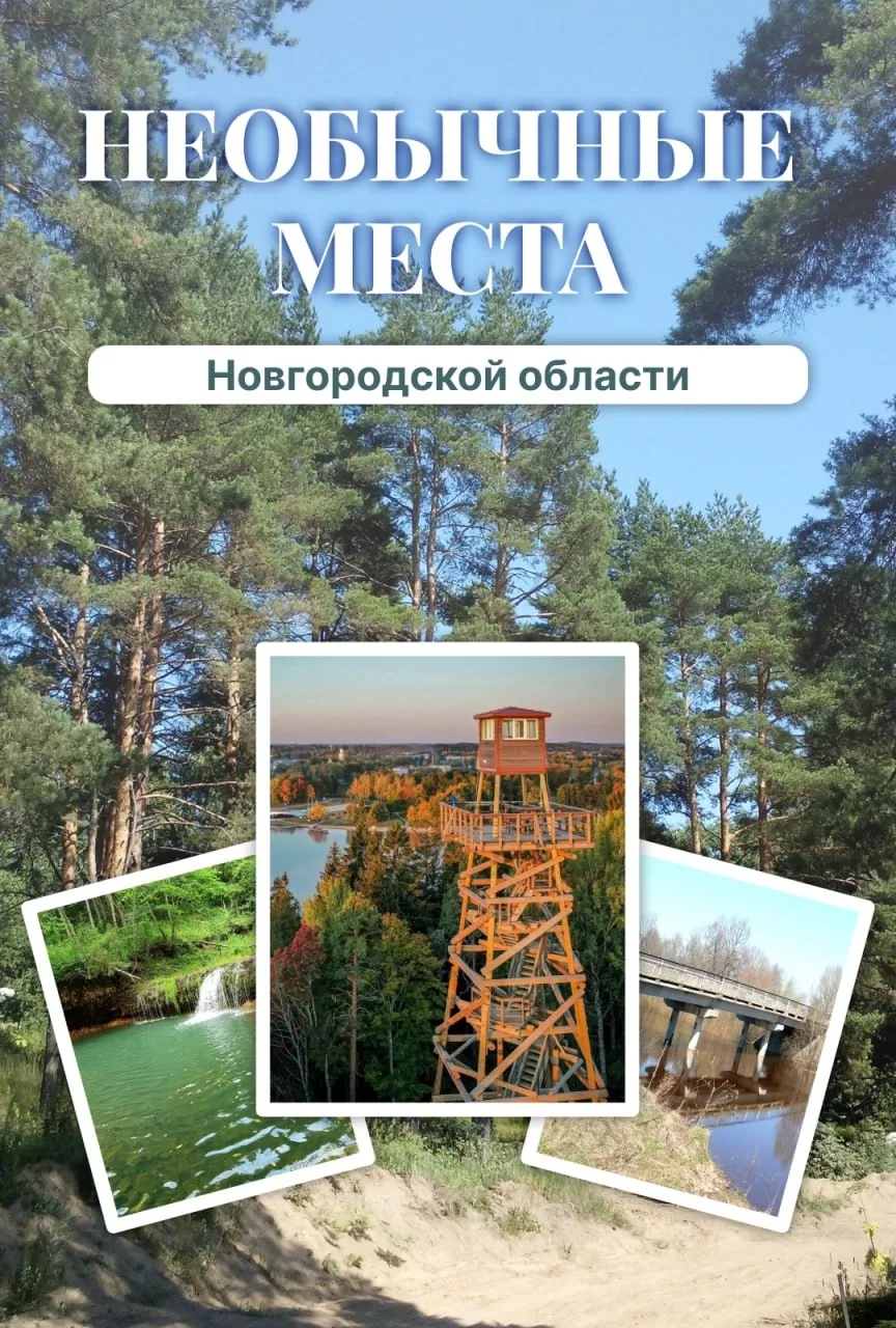 Необычные места Новгородской области 🌄📸