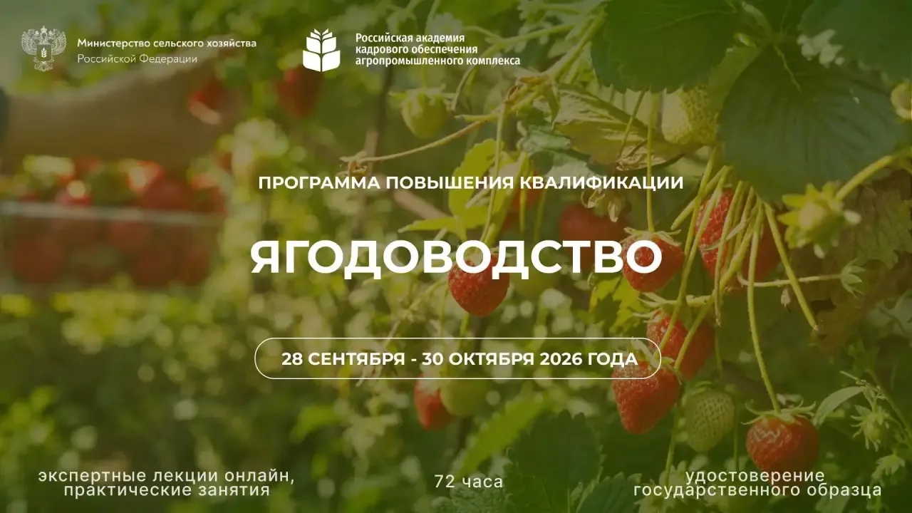 Открыт набор на новую программу повышения квалификации «Ягодоводство».
