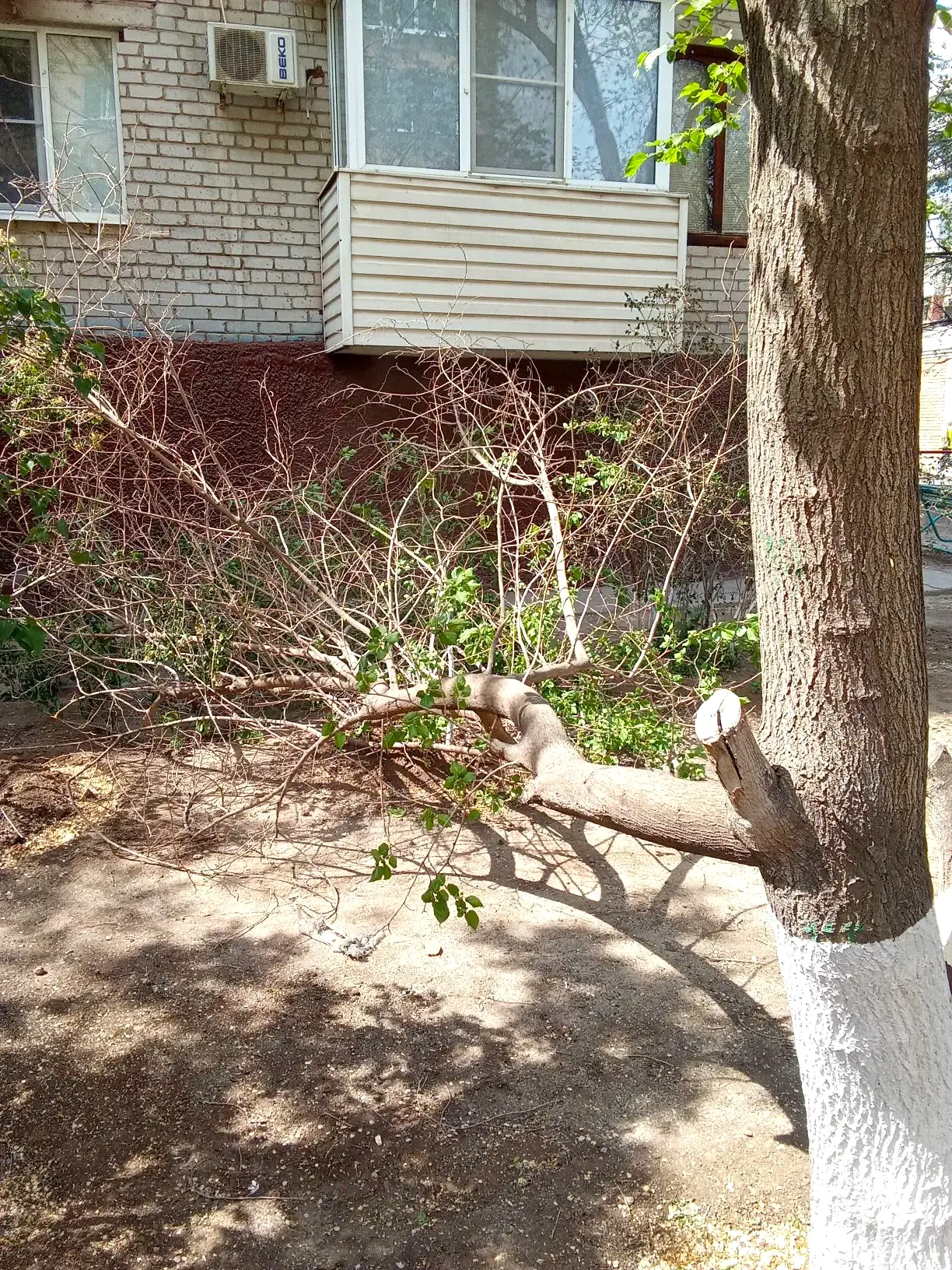 К новости «☀️ Больше пространства и солнечного света!»
