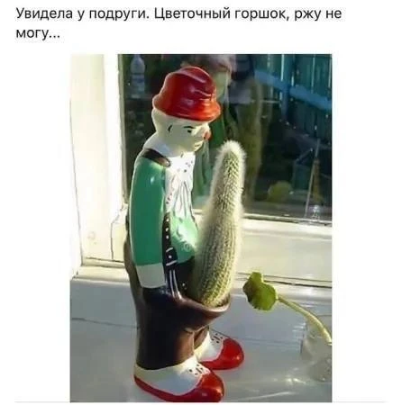 👀MAX С Юмором‼️