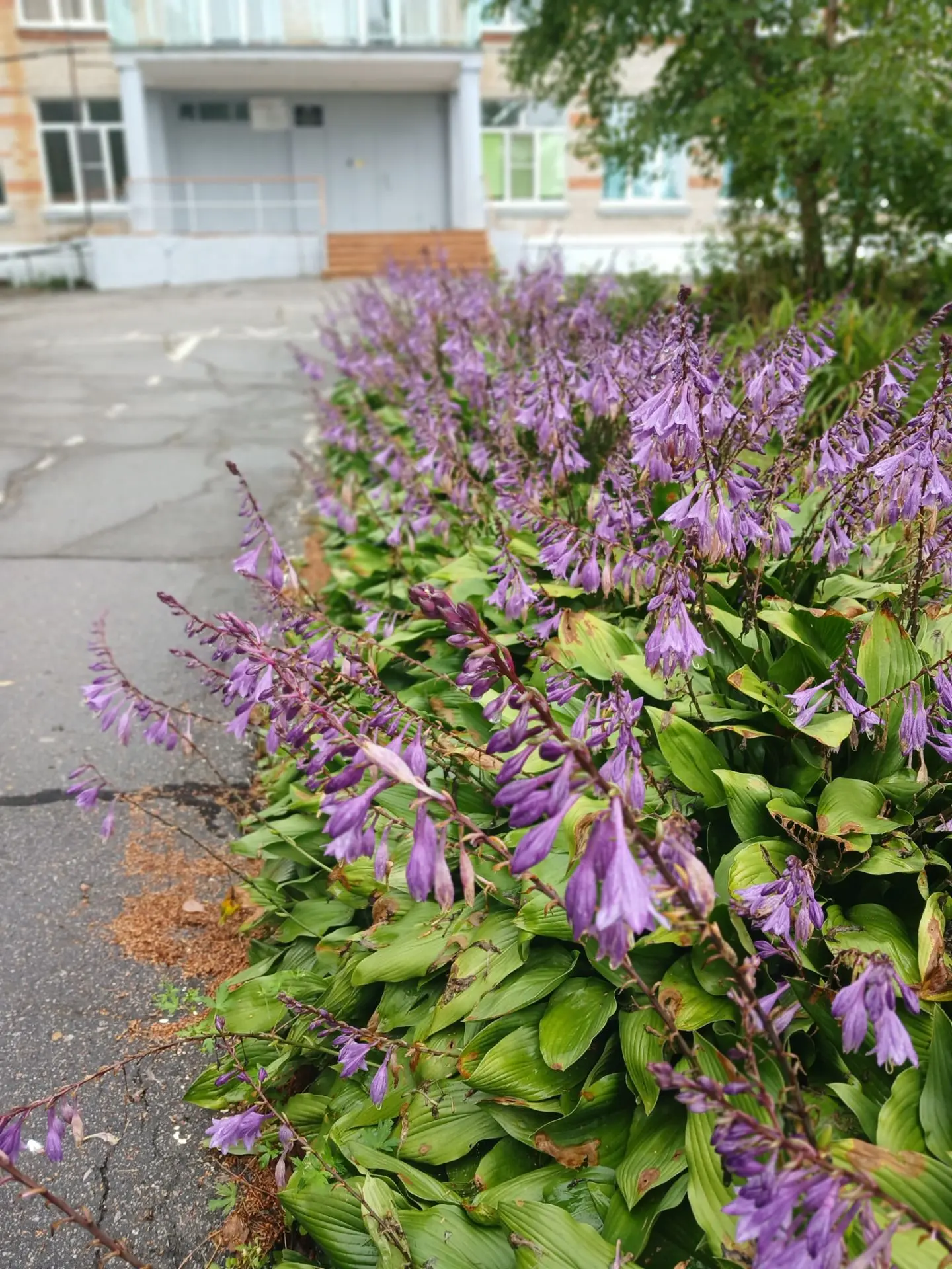 🍂 До начала учебного года осталось совсем немного…