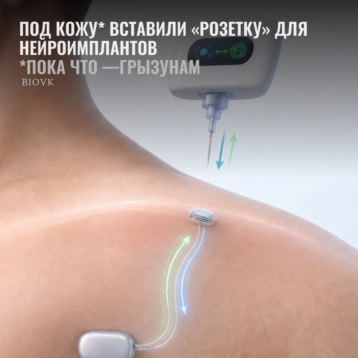 Фанаты  фильма «Матрица» из Калифорнийского университета в Ирвайне* буквально создали розетку для не