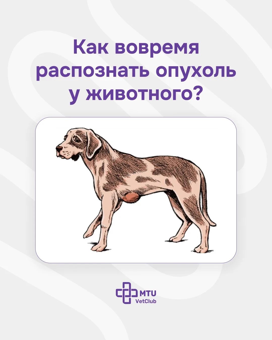 Миф о «динамическом наблюдении» и рекомендации по ТИБ