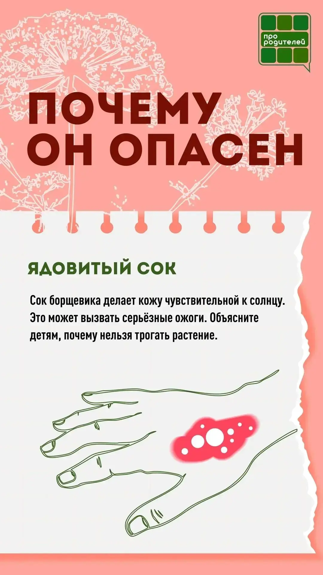 ❗️ Не обожгись: главные правила безопасности с борщевиком 
 
🏖 Лето — пора, когда дети чаще всего п