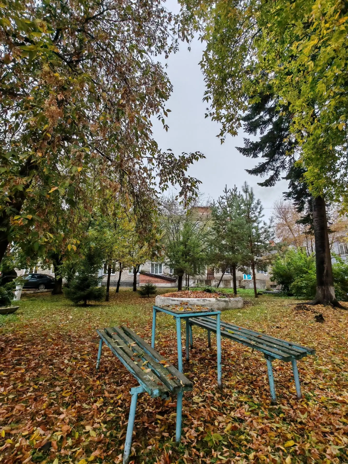 Ирбит, ул. Мальгина, 26. Двор Ирбитской ЦРБ им. Д.И. Мальгина. Осенний минисквер. Точна...