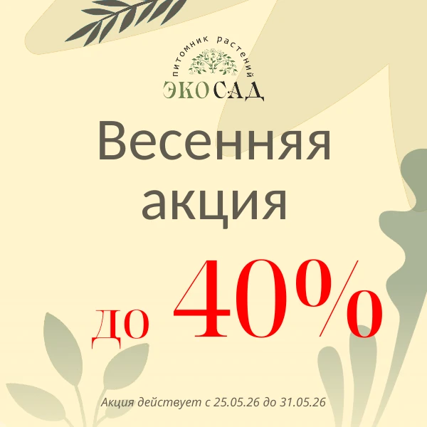 Новая волна весенних скидок! С 25 по 31 мая 🌿🎁