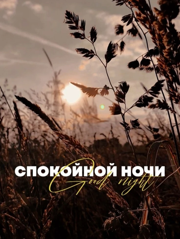 #СпокойнойНочи