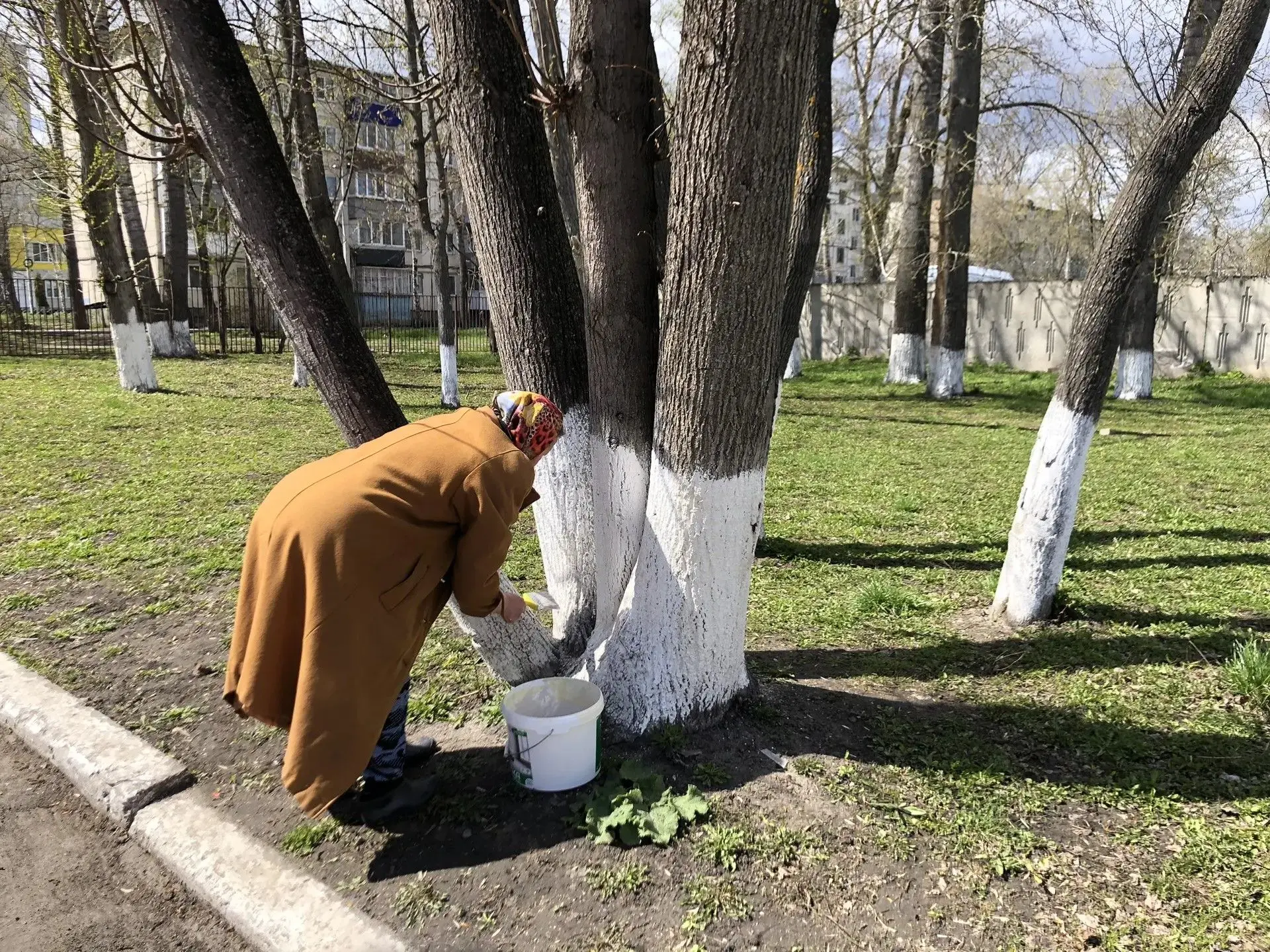 🧹Накануне праздника 1 Мая в нашей школе в обоих корпусах прошли субботники.  💪 Ученики, педагоги и с