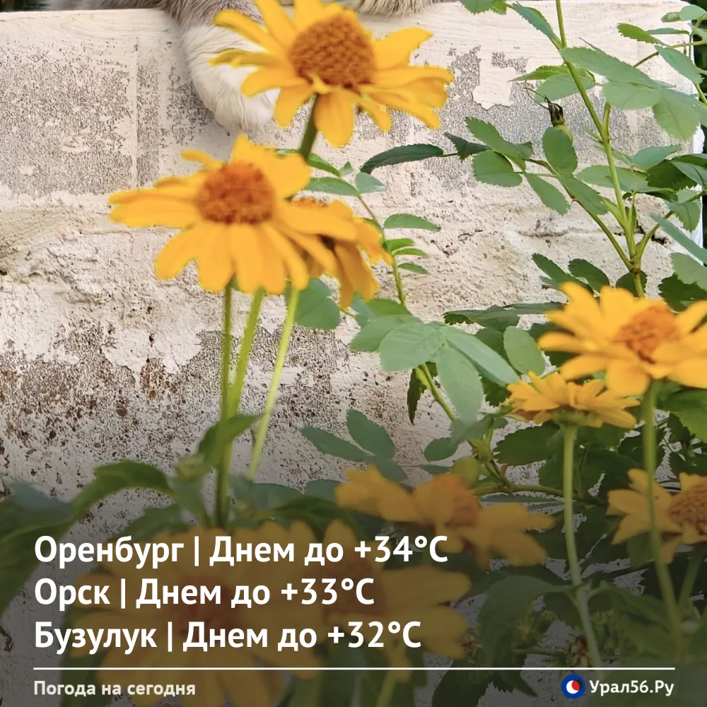 Доброе утро