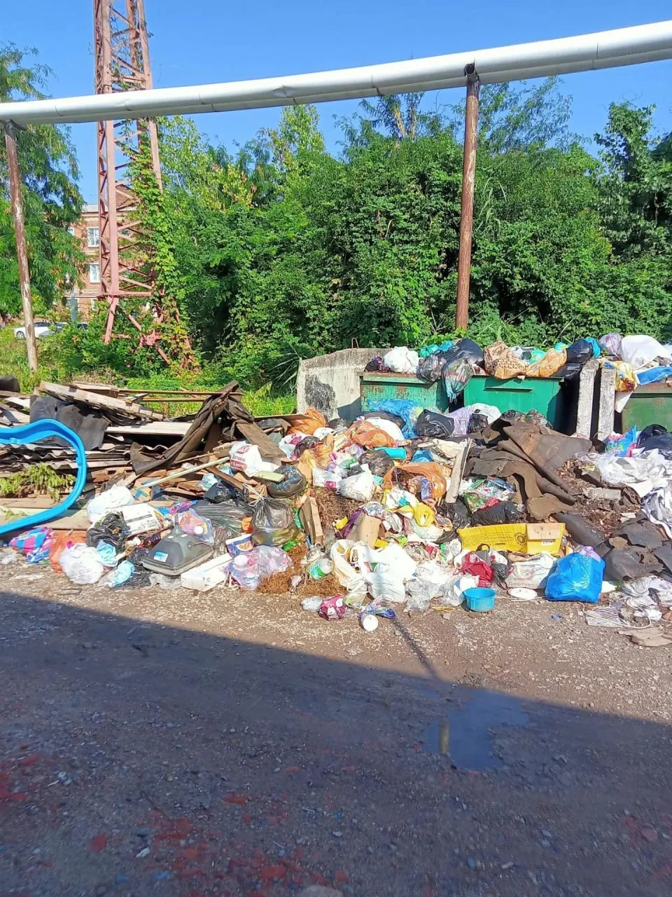 Вот так выглядит мусорка в районе городской ул. Дзержинского, 33 в гаражах. Фотографии прислала наша